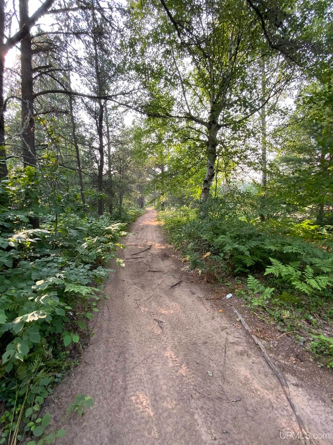 1591 Millyard Rd, Gwinn, MI 49841 - photo 5