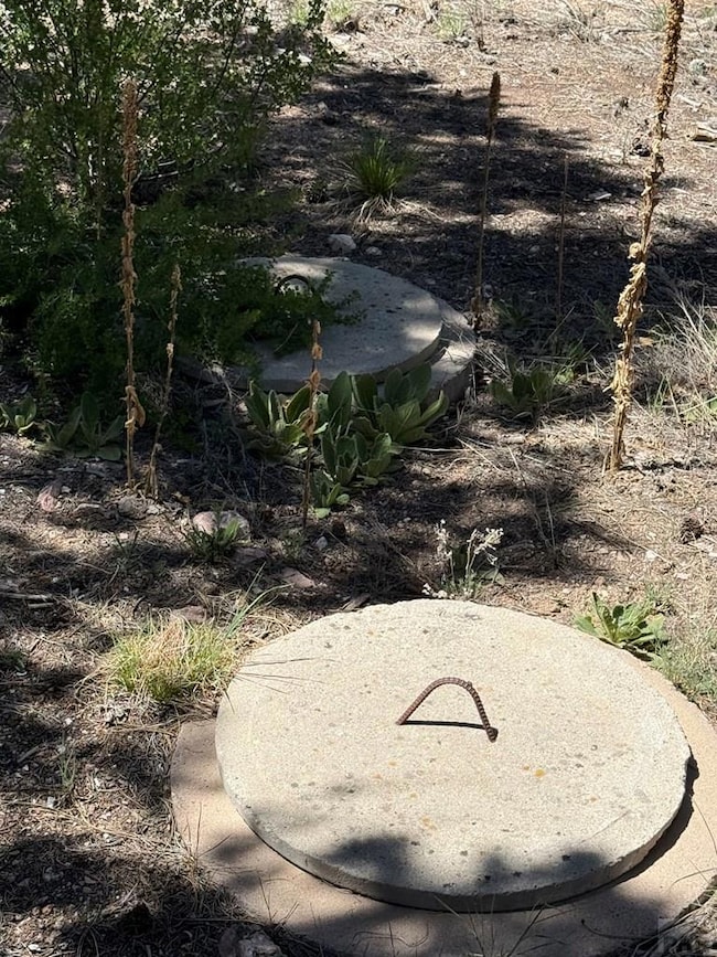 1713 7th Trail, Texas Creek, CO 81223 - photo 4