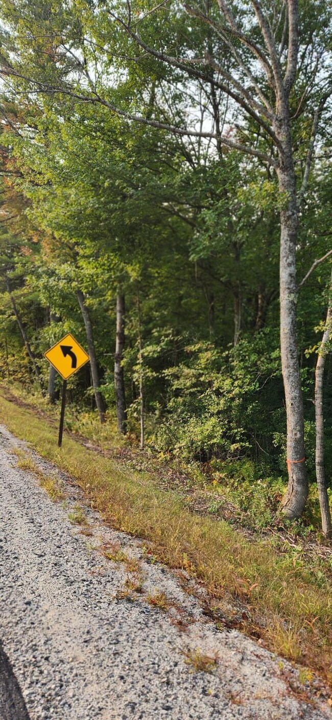 Back rd 3