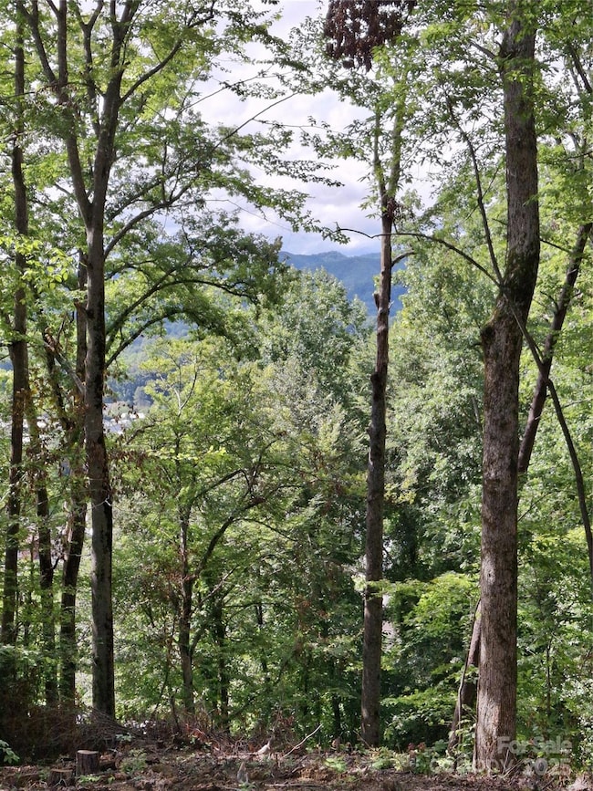 79 Bacon Dr unit 3, Bryson City, NC 28713 - photo 7