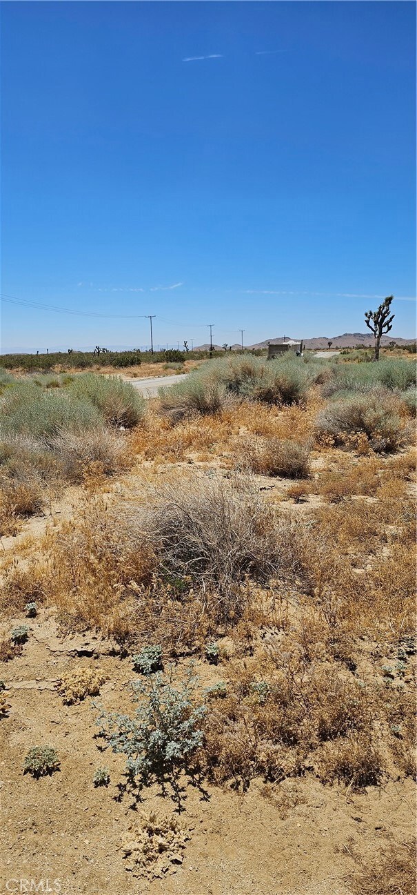 0 E Longhorn unit SR22218839, Mojave, CA 93501 - photo 4