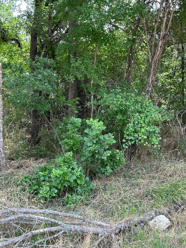 1119 Boot Trail Ct, Granbury, TX 76048 - photo 2