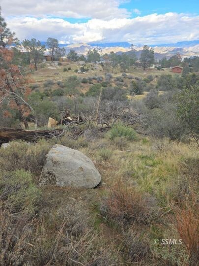 062-241-16 O St, Lake Isabella, CA 93285 - photo 6