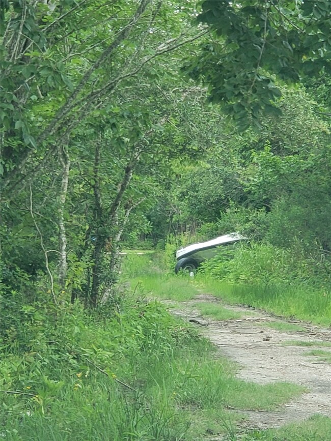 6023 Pine, Brazoria, TX 77422 - photo 4