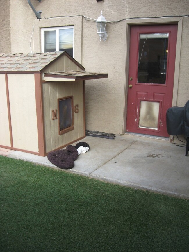 Backyard Patio