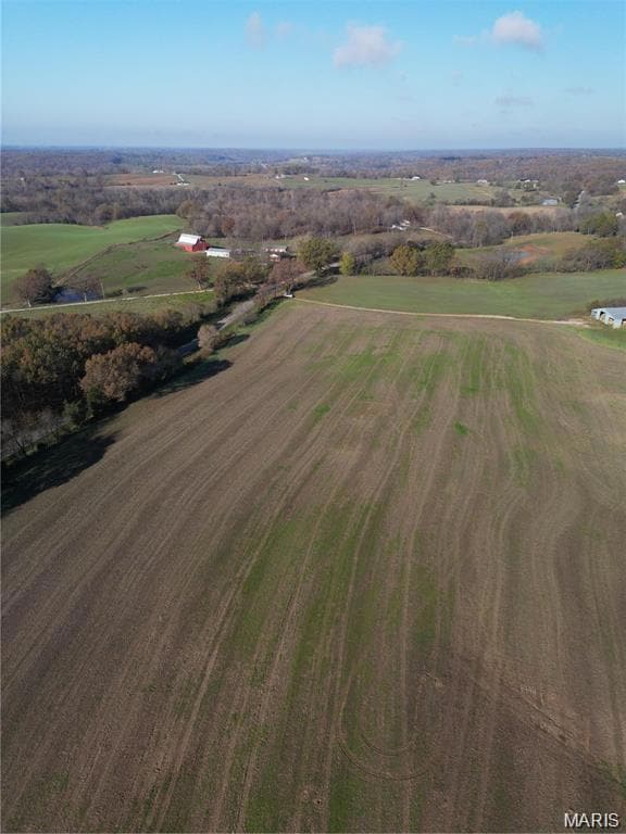 0 State Highway Aa- Tract 5, Daisy, MO 63743 - photo 3