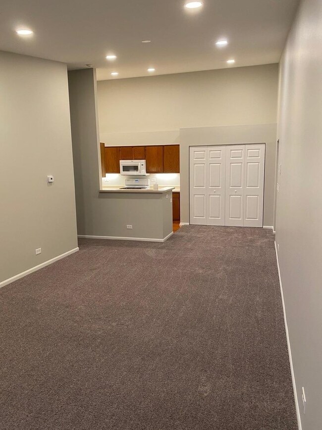 764 N Gary Ave unit 210, Carol Stream, IL 60188 - photo 6