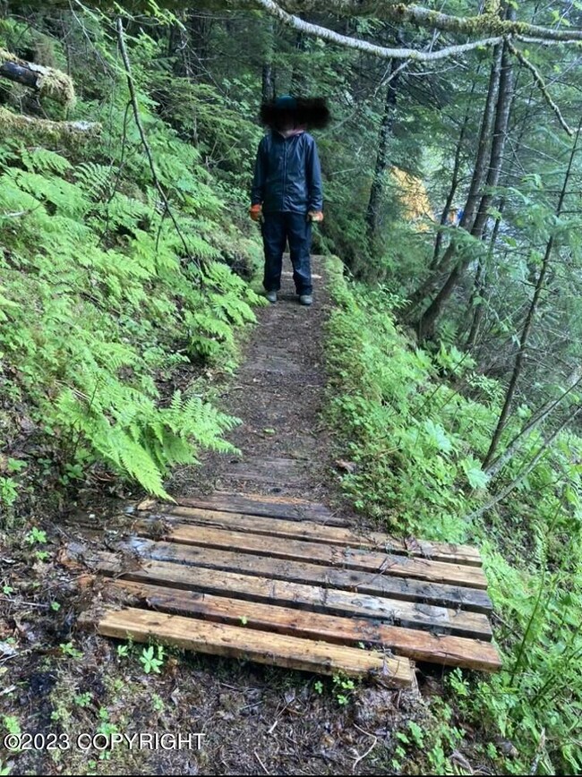 trail from water up to lots
