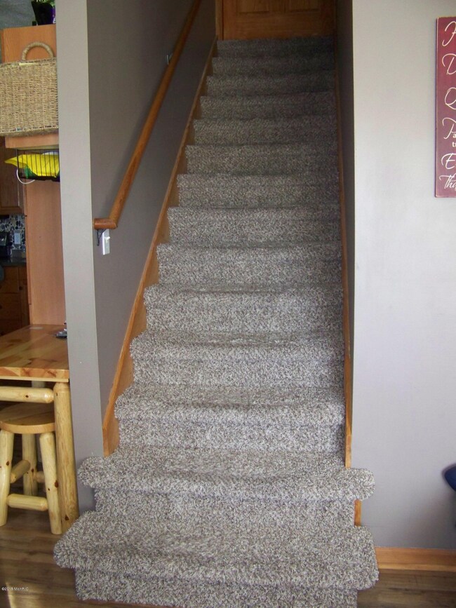 2516 N Musson Rd, Stanton, MI 48888 - photo 6