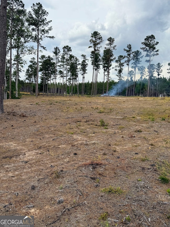 0 E Lake Dr unit 10568706, Statesboro, GA 30458 - photo 4