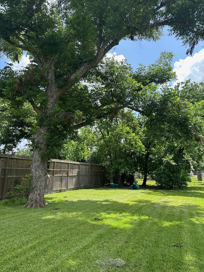 Back yard w/ mature trees