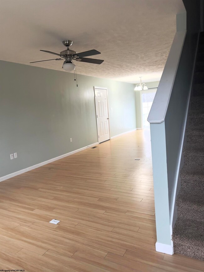 165 Mikayla St, Reedsville, WV 26547 - photo 4