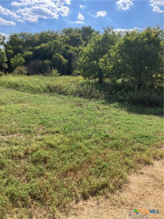 3202 S Central Ave, Troy, TX 76579 - photo 2