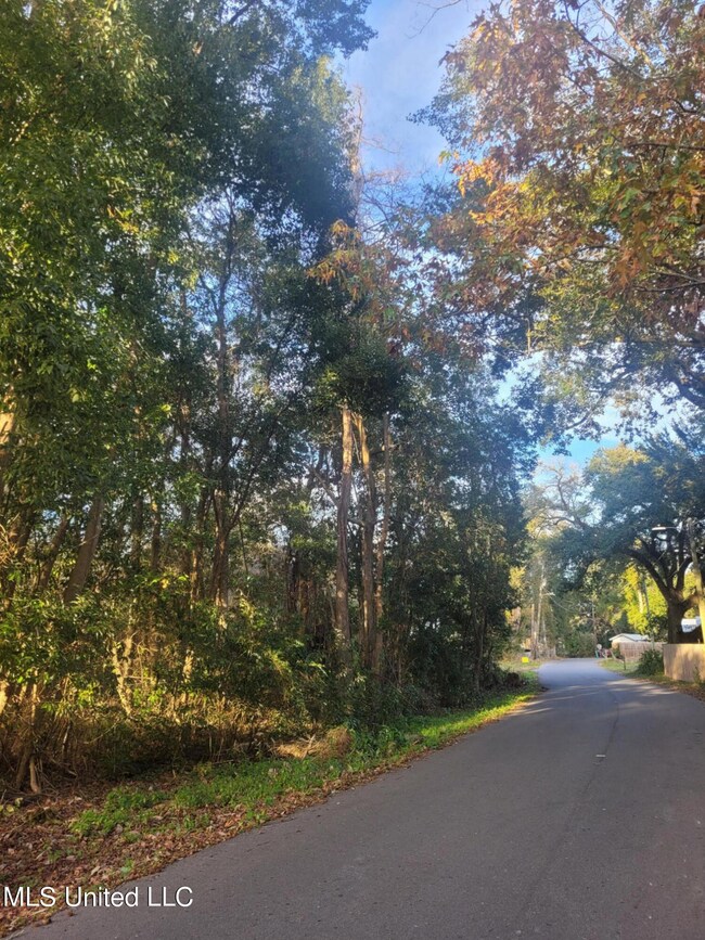 Street view looking East