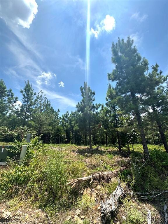 136 Charmed Ridge Ln, Broken Bow, OK 74728 - photo 5