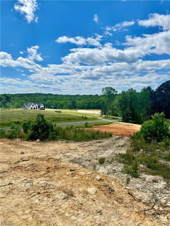 Tract 2 Browers Chapel Rd, Asheboro, NC 27205 - photo 6