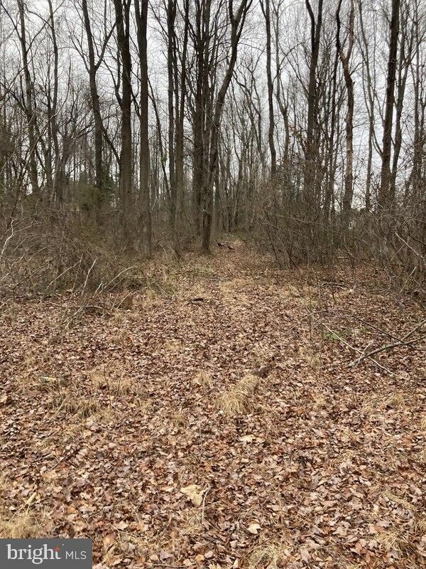 108 Kelly Driver Rd, Clementon, NJ 08021 - photo 7