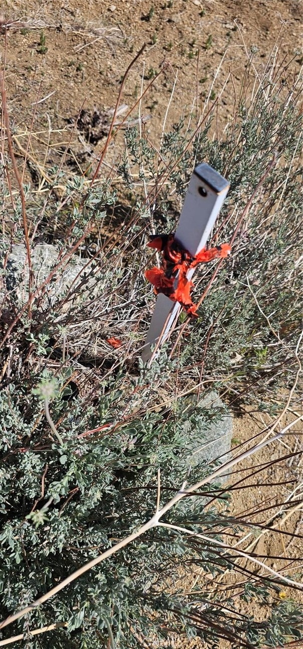 0 98th St E, Juniper Hills, CA 93543 - photo 2