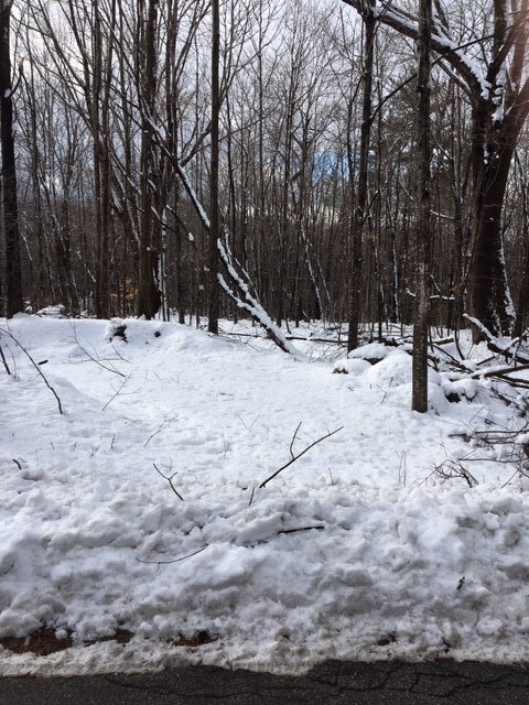 0 Ossipee Mountain Rd, Moultonborough, NH 03254 - photo 2