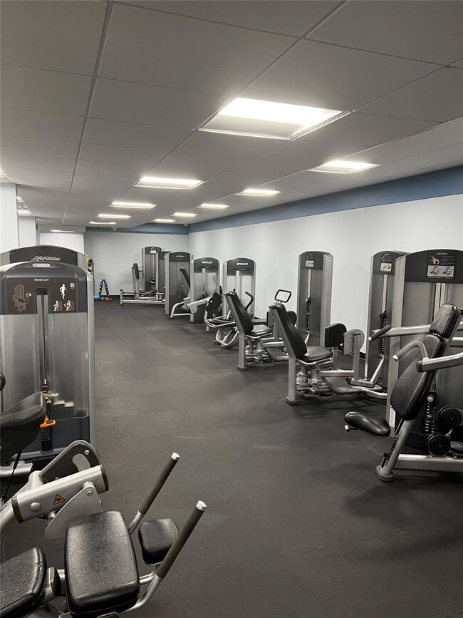 Gym