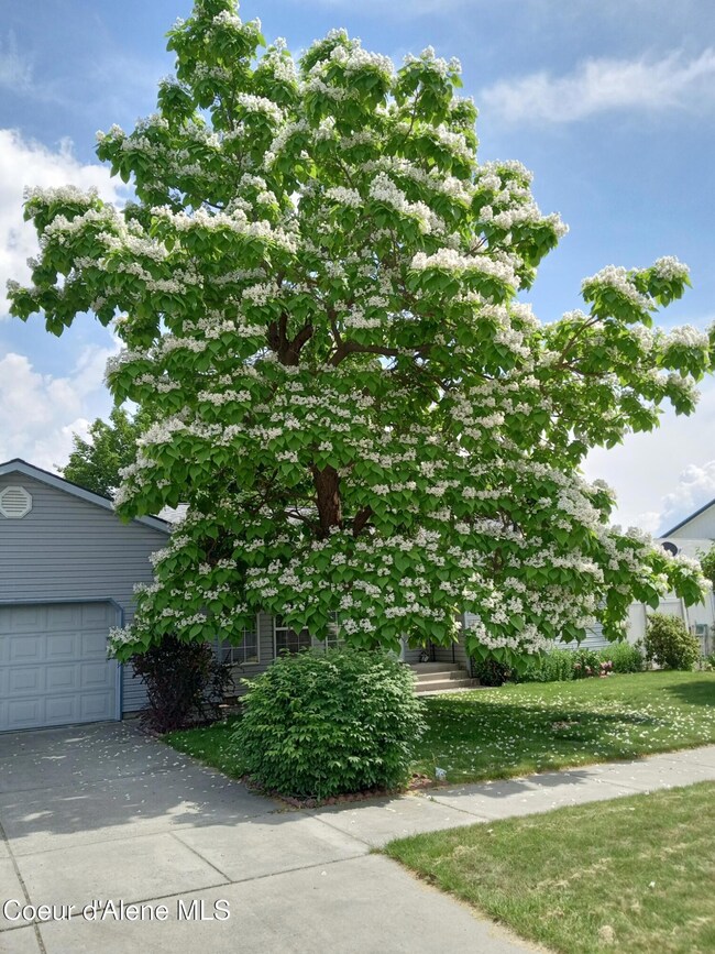 Springtime Front