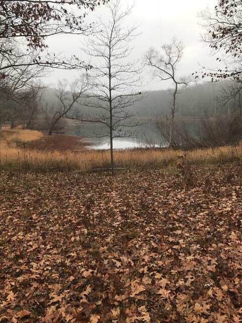 0 Fiftieth Ave unit 16057148, Bitely, MI 49309 - photo 7