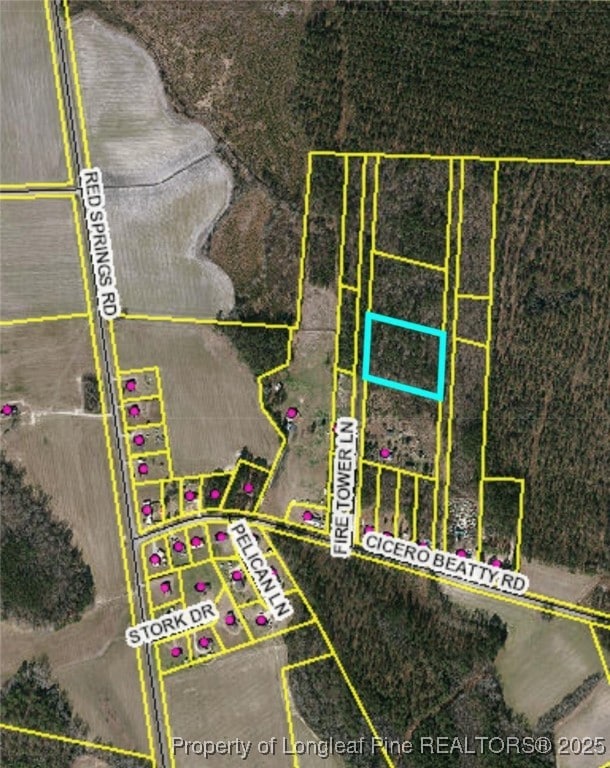 0 Fire Tower Ln, Raeford, NC 28376 - photo 5