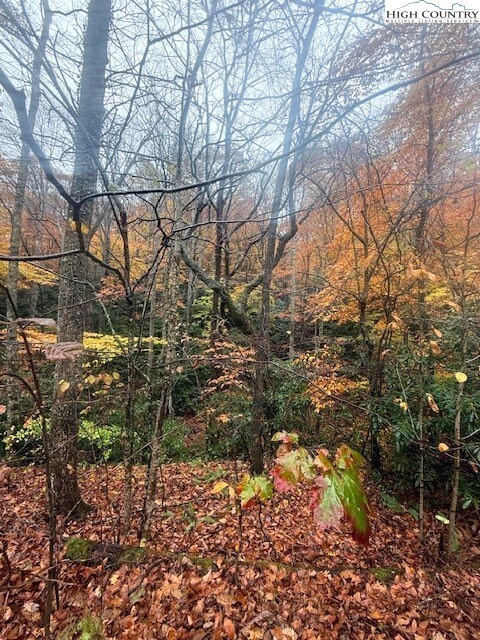 TBD N Old Hwy 16, Jefferson, NC 28640 - photo 5