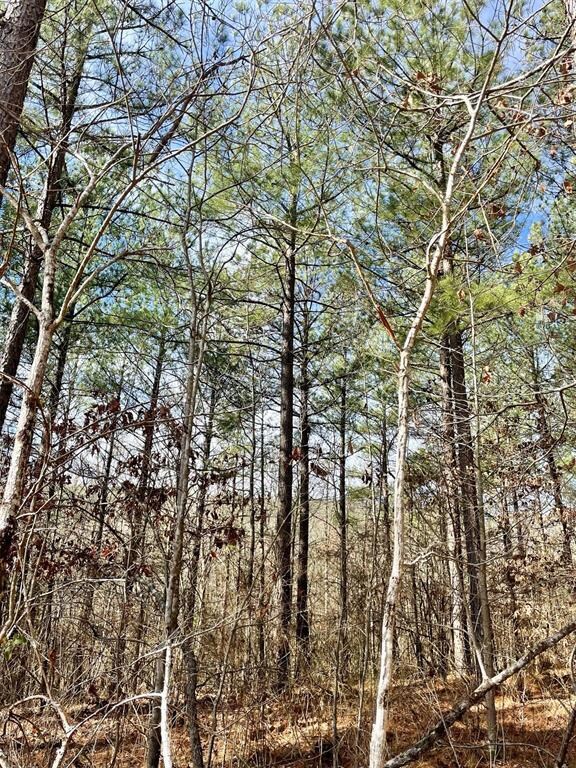 764 Timber Creek Trails South XI, Broken Bow, OK 74728 - photo 5