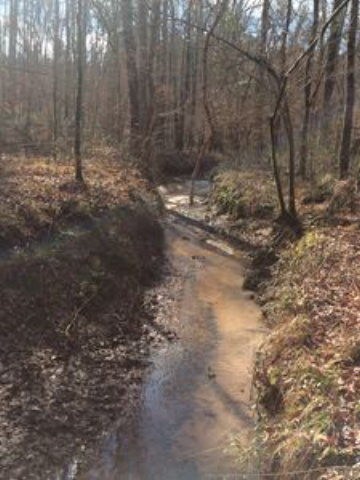 creek in back