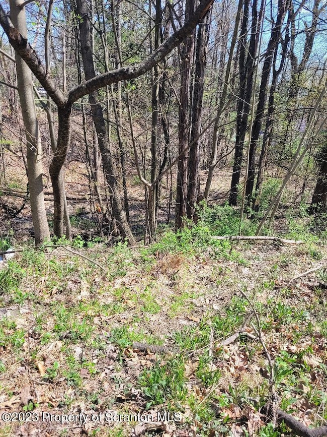 421 Center St, Scranton, PA 18508 - photo 3