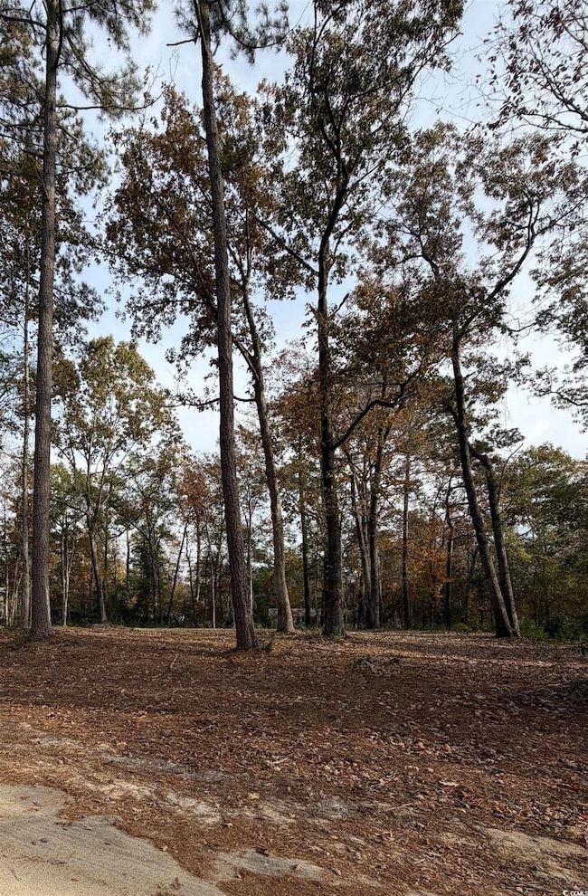 282 Pineneedle Cir, Johnsonville, SC 29555 - photo 2