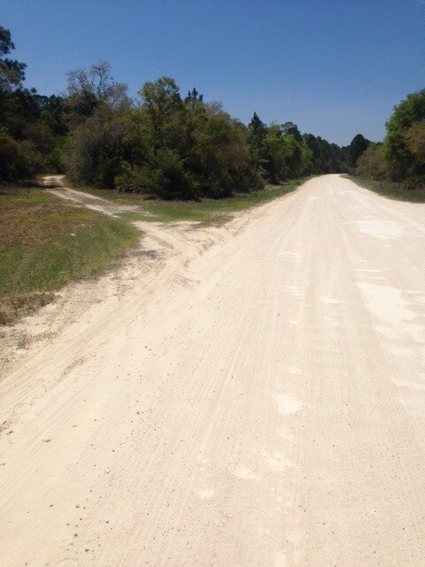 0 Yates Creek Rd unit 268566, Perry, FL 32348 - photo 7