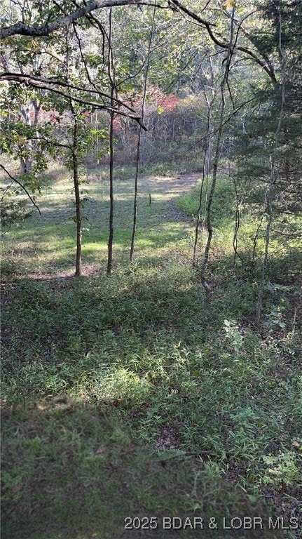 0 Tbd Quail Run, Preston, MO 65732 - photo 6
