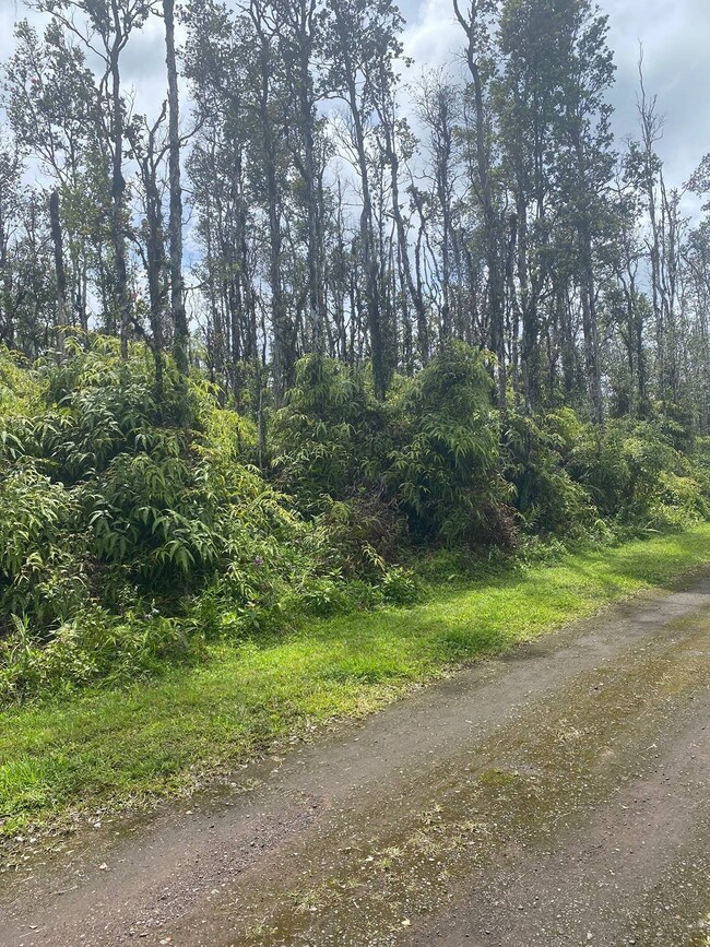 0 Molokai Rd unit 709658, Pahoa, HI 96778 - photo 4