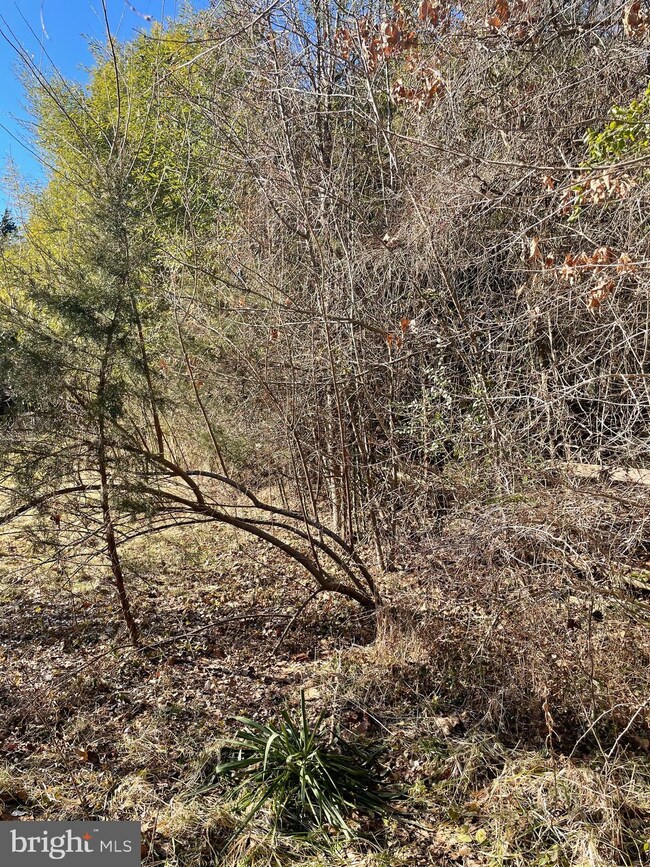 391 Joshua Rd, Stafford, VA 22556 - photo 2