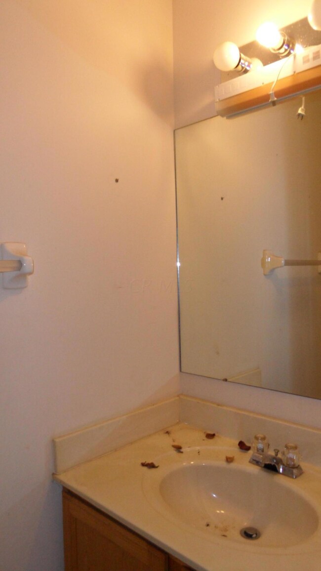 1448 Tall Pine Ct, Columbus, OH 43223 - photo 7