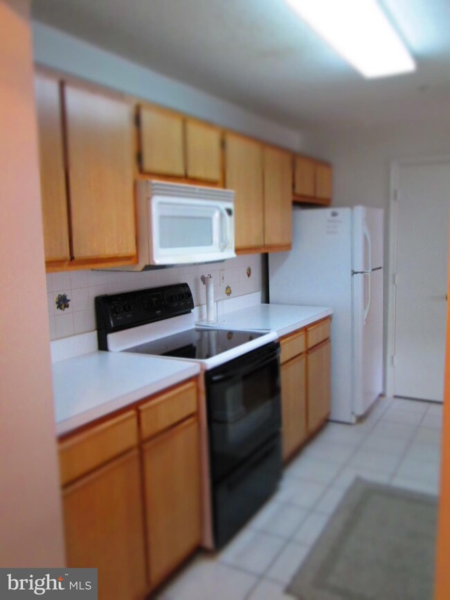 2701 Snowbird Terrace unit 2, Silver Spring, MD 20906 - photo 5