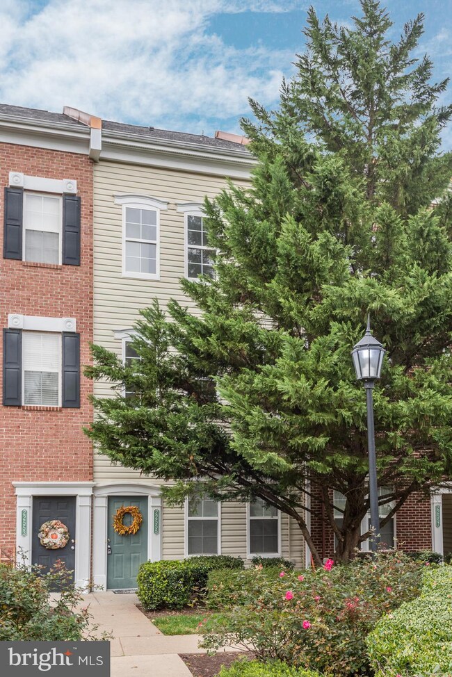 22555 Blue Elder Terrace, Ashburn, VA 20148 - photo 2