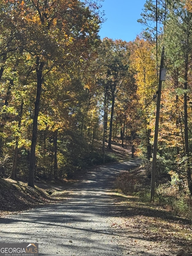 0 John Call Rd, Ellijay, GA 30536 - photo 4