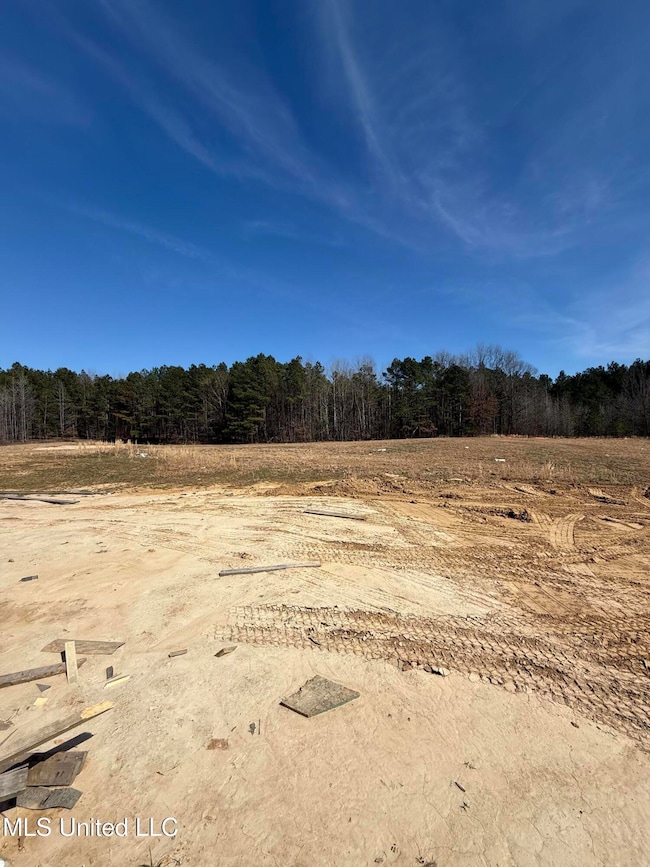 5064 Sophia Ln, Hernando, MS 38632 - photo 5