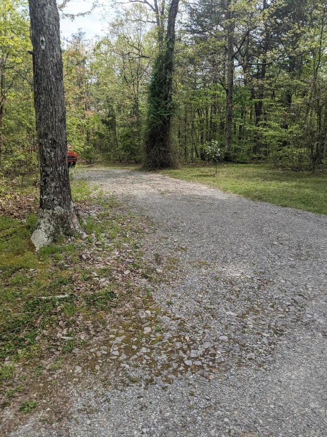PXL_20210428_195915574