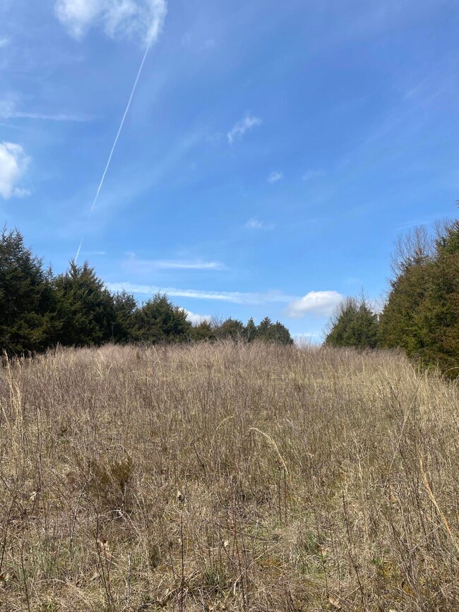 0 Seaville Rd, Willisburg, KY 40078 - photo 3