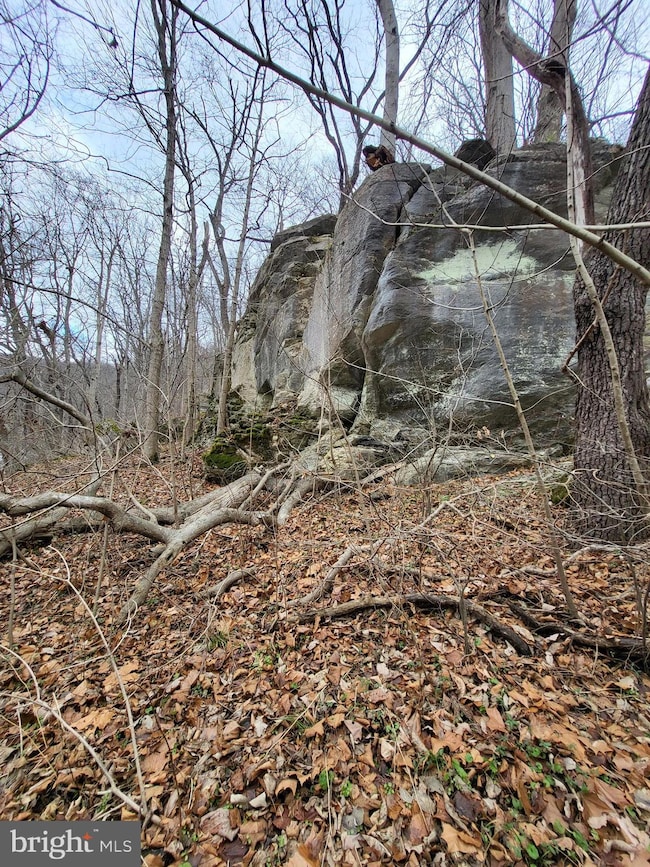Lot 29 & 30 Sugar Maple Ln, Shannondale, WV 25425 - photo 4