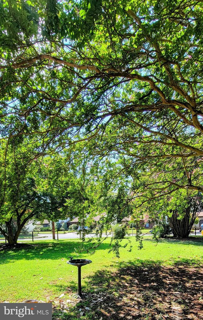 703 Alvin Ave, Salisbury, MD 21804 - photo 2