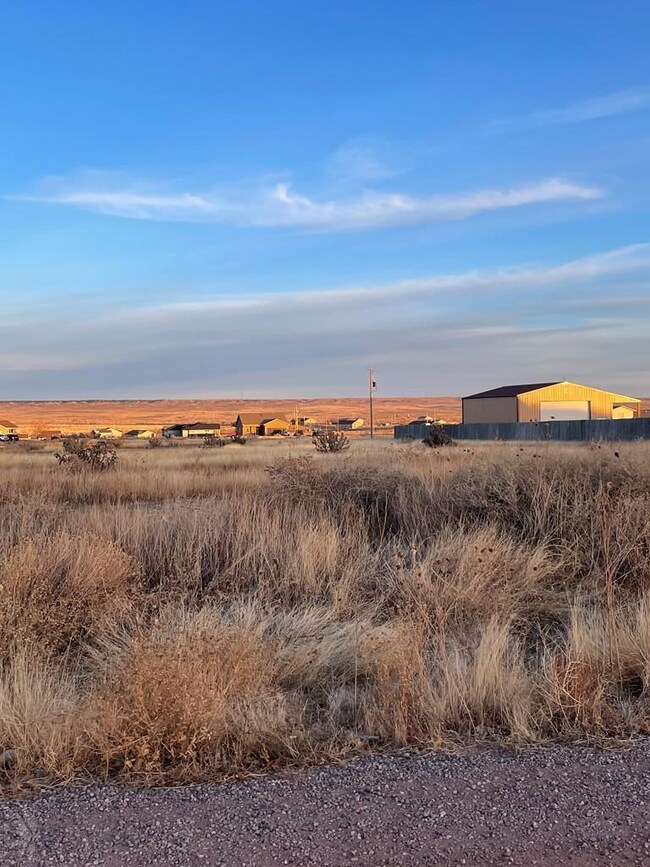 1250 N Starkweather Ln, Pueblo West, CO 81007 - photo 5