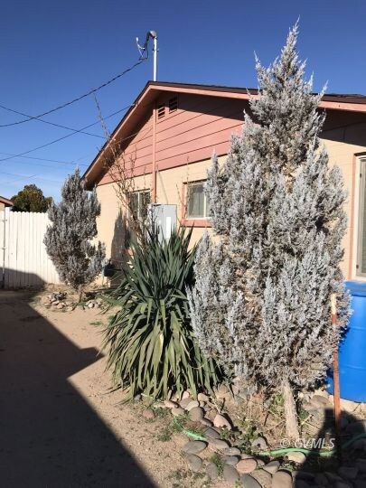 Side yard