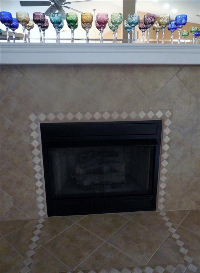 Natural Gas with Decorative Tiling
