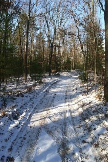 10 Cedar Rd, Lincoln Township, MI 48625 - photo 4