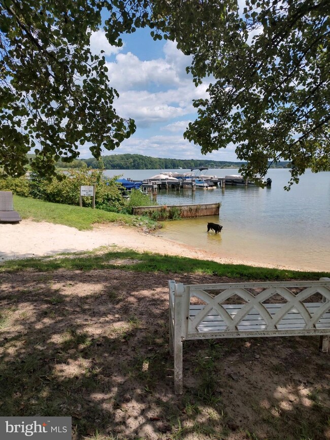 6206 Eds Rd, Mineral, VA 23117 - photo 5